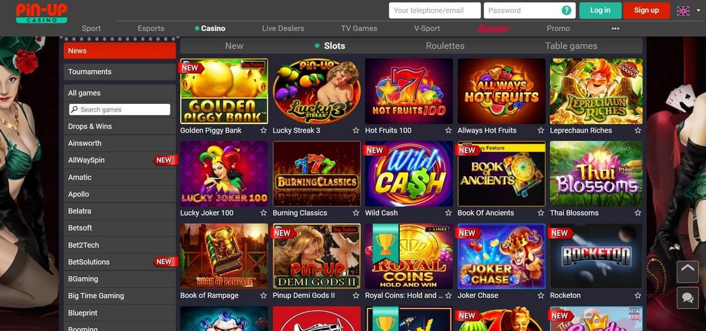Introduction of PIN-UP Casino Site